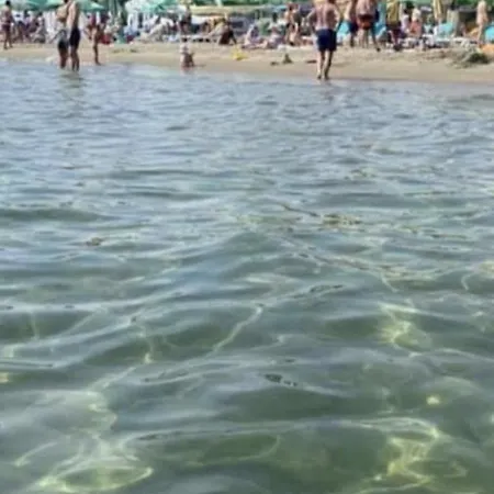 Black Sea *