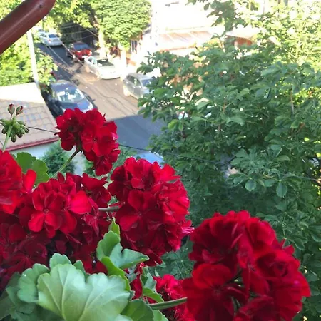 Black Sea 콘스탄차